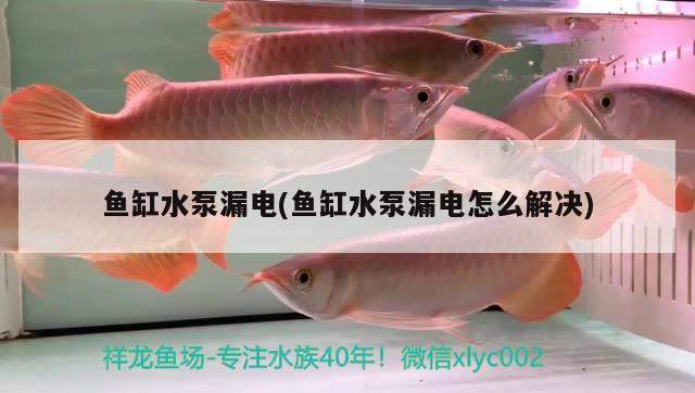 魚缸水泵漏電(魚缸水泵漏電怎么解決)