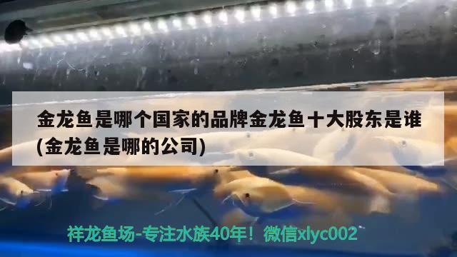 金龍魚是哪個國家的品牌金龍魚十大股東是誰(金龍魚是哪的公司)