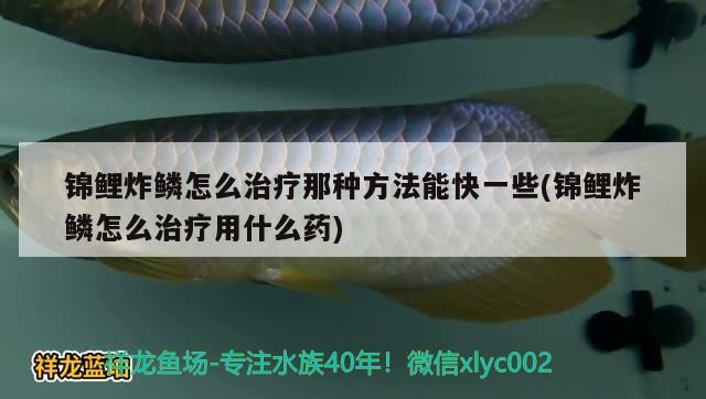 錦鯉炸鱗怎么治療那種方法能快一些(錦鯉炸鱗怎么治療用什么藥)