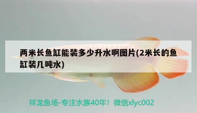 兩米長魚缸能裝多少升水啊圖片(2米長的魚缸裝幾噸水)