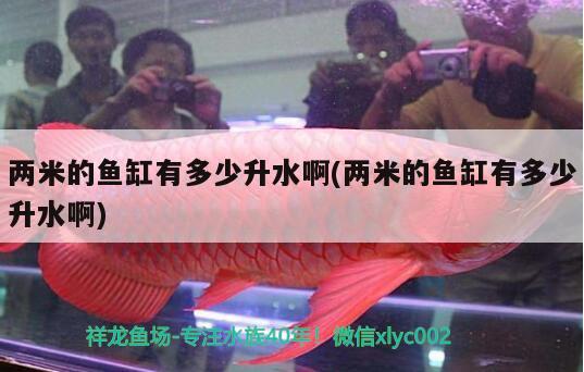 兩米的魚缸有多少升水啊(兩米的魚缸有多少升水啊) 其它水族用具設備