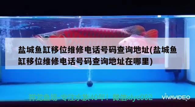 鹽城魚缸移位維修電話號碼查詢地址(鹽城魚缸移位維修電話號碼查詢地址在哪里)