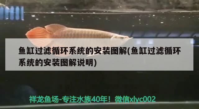 魚缸過濾循環(huán)系統(tǒng)的安裝圖解(魚缸過濾循環(huán)系統(tǒng)的安裝圖解說明)