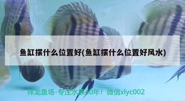 魚缸擺什么位置好(魚缸擺什么位置好風(fēng)水) 魚缸風(fēng)水