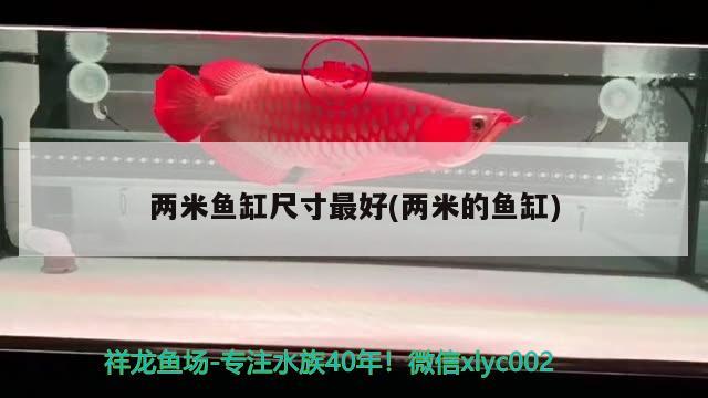 兩米魚缸尺寸最好(兩米的魚缸)