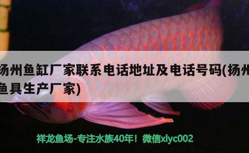 揚(yáng)州魚缸廠家聯(lián)系電話地址及電話號(hào)碼(揚(yáng)州魚具生產(chǎn)廠家) 金龍魚糧