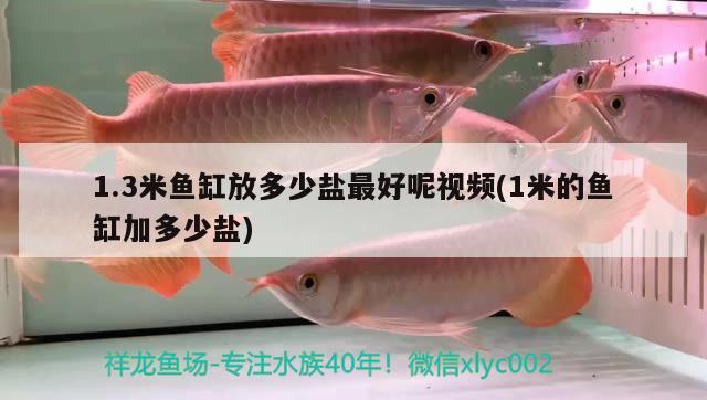 1.3米魚缸放多少鹽最好呢視頻(1米的魚缸加多少鹽)