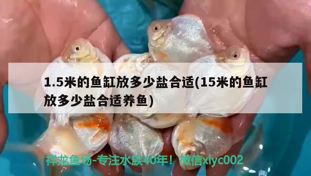 1.5米的魚缸放多少鹽合適(15米的魚缸放多少鹽合適養(yǎng)魚)