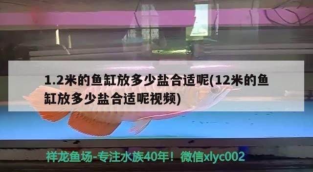 1.2米的魚缸放多少鹽合適呢(12米的魚缸放多少鹽合適呢視頻)