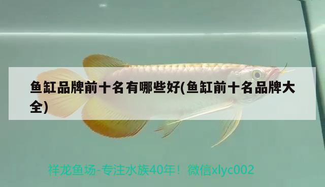 魚缸品牌前十名有哪些好(魚缸前十名品牌大全)