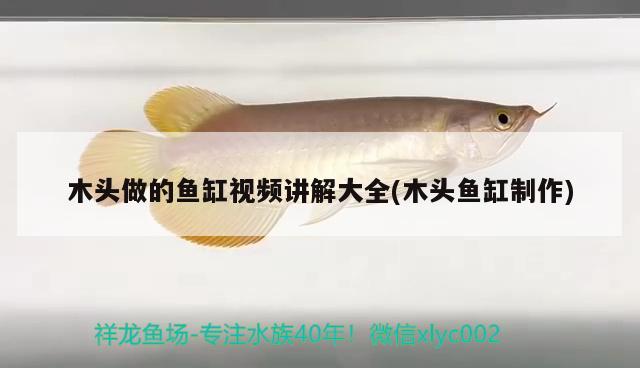 木頭做的魚缸視頻講解大全(木頭魚缸制作)