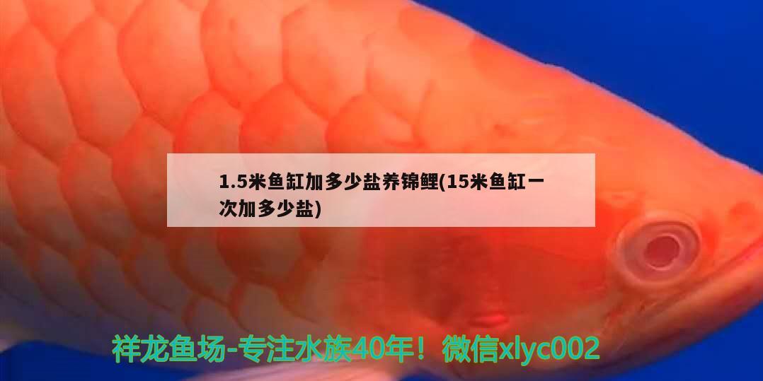 1.5米魚(yú)缸加多少鹽養(yǎng)錦鯉(15米魚(yú)缸一次加多少鹽)