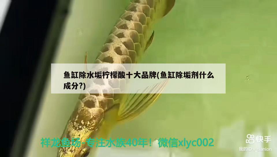 魚(yú)缸除水垢檸檬酸十大品牌(魚(yú)缸除垢劑什么成分?) 黃金眼鏡蛇雷龍魚(yú)