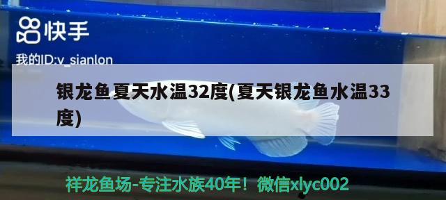 銀龍魚(yú)夏天水溫32度(夏天銀龍魚(yú)水溫33度)