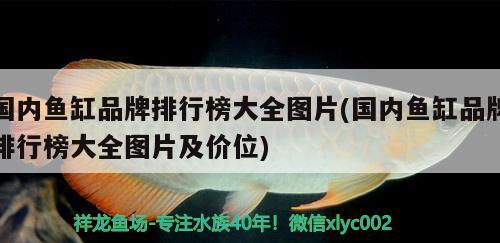 國內(nèi)魚缸品牌排行榜大全圖片(國內(nèi)魚缸品牌排行榜大全圖片及價位) 財神鸚鵡魚