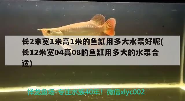 長2米寬1米高1米的魚缸用多大水泵好呢(長12米寬04高08的魚缸用多大的水泵合適) 觀賞蝦蟹等飼料