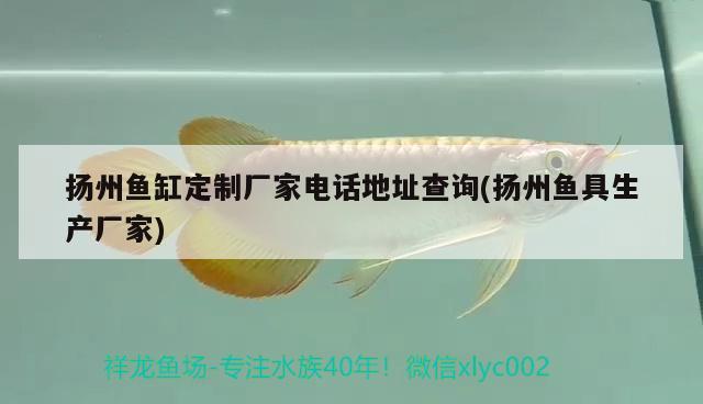 揚(yáng)州魚(yú)缸定制廠家電話地址查詢(揚(yáng)州魚(yú)具生產(chǎn)廠家)