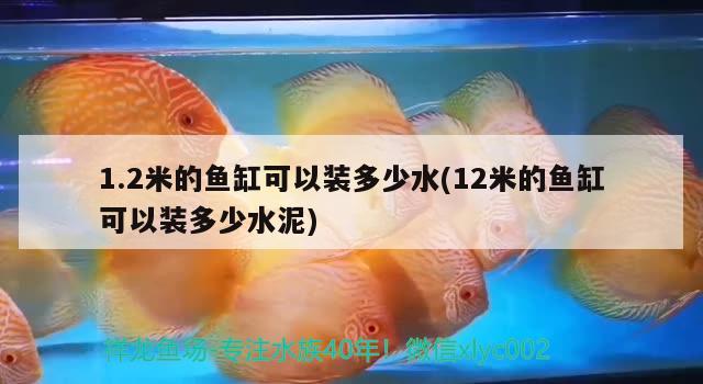 1.2米的魚(yú)缸可以裝多少水(12米的魚(yú)缸可以裝多少水泥) 魚(yú)糧魚(yú)藥