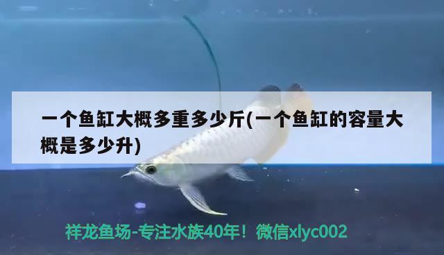 一個(gè)魚缸大概多重多少斤(一個(gè)魚缸的容量大概是多少升)