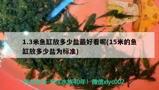 1.3米魚缸放多少鹽最好看呢(15米的魚缸放多少鹽為標準)