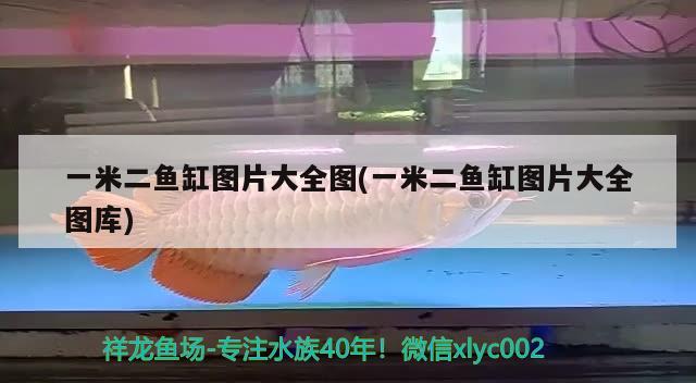 一米二魚缸圖片大全圖(一米二魚缸圖片大全圖庫)