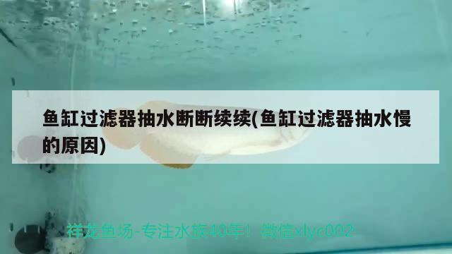 魚缸過濾器抽水?dāng)鄶嗬m(xù)續(xù)(魚缸過濾器抽水慢的原因)