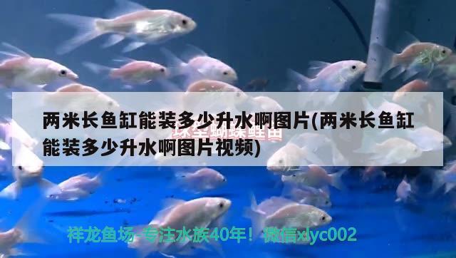 兩米長魚缸能裝多少升水啊圖片(兩米長魚缸能裝多少升水啊圖片視頻) 觀賞魚飼料