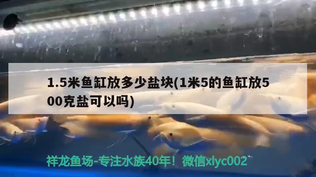 1.5米魚缸放多少鹽塊(1米5的魚缸放500克鹽可以嗎)