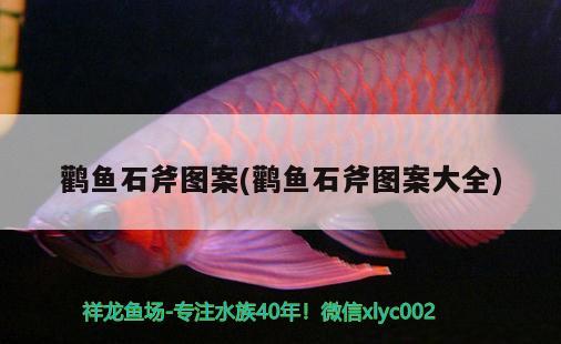 鸛魚石斧圖案(鸛魚石斧圖案大全)