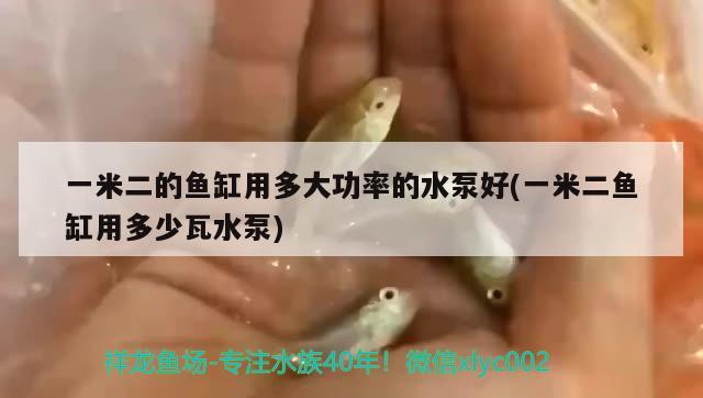 一米二的魚缸用多大功率的水泵好(一米二魚缸用多少瓦水泵)