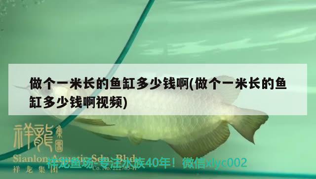 做個一米長的魚缸多少錢啊(做個一米長的魚缸多少錢啊視頻)