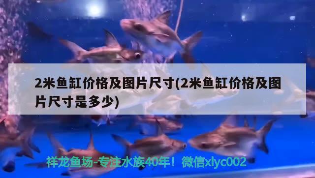 2米魚缸價格及圖片尺寸(2米魚缸價格及圖片尺寸是多少)