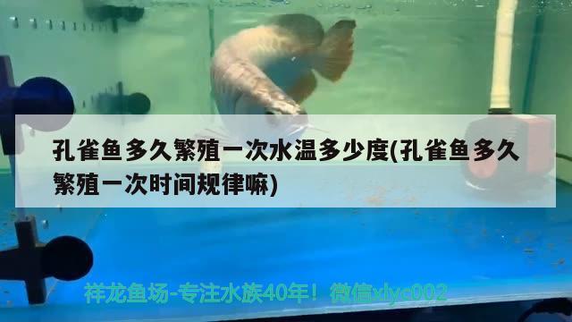 孔雀魚多久繁殖一次水溫多少度(孔雀魚多久繁殖一次時(shí)間規(guī)律嘛)