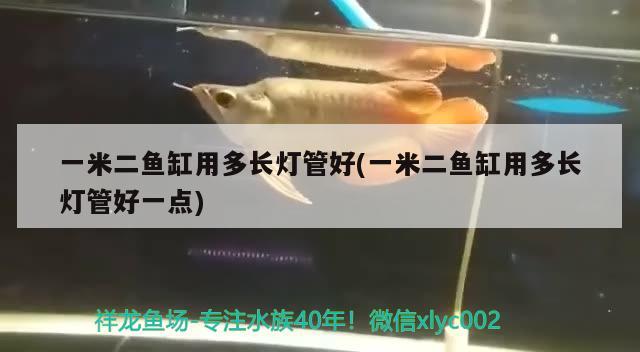 一米二魚缸用多長燈管好(一米二魚缸用多長燈管好一點(diǎn))