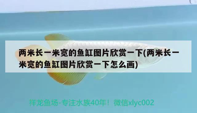 兩米長一米寬的魚缸圖片欣賞一下(兩米長一米寬的魚缸圖片欣賞一下怎么畫)