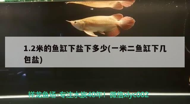 1.2米的魚缸下鹽下多少(一米二魚缸下幾包鹽)