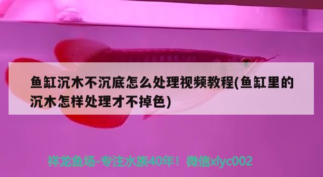 魚缸沉木不沉底怎么處理視頻教程(魚缸里的沉木怎樣處理才不掉色)