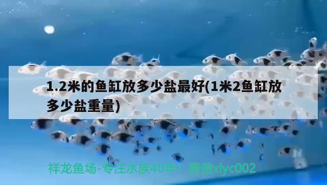 1.2米的魚(yú)缸放多少鹽最好(1米2魚(yú)缸放多少鹽重量) 超血紅龍魚(yú)