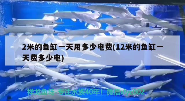 2米的魚缸一天用多少電費(12米的魚缸一天費多少電)