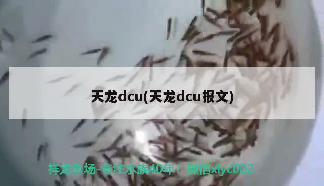 天龍dcu(天龍dcu報文)