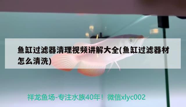 魚缸過濾器清理視頻講解大全(魚缸過濾器材怎么清洗) 銀龍魚百科