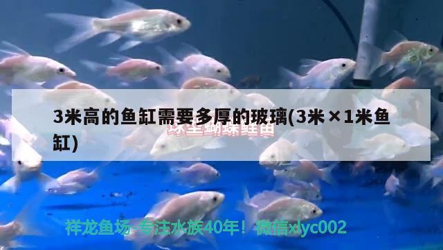 3米高的魚缸需要多厚的玻璃(3米×1米魚缸) 黑白雙星