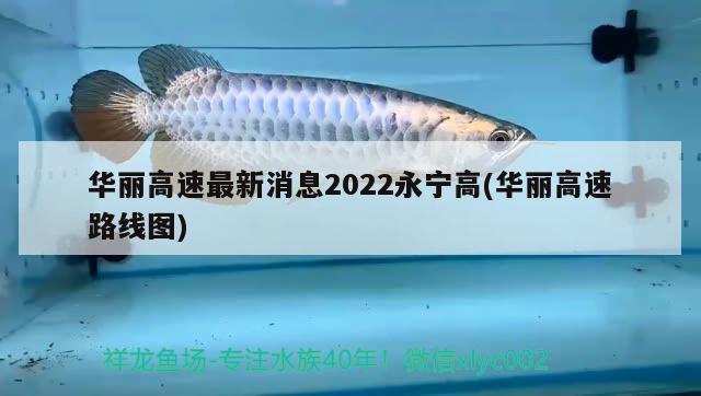 華麗高速最新消息2022永寧高(華麗高速路線圖)