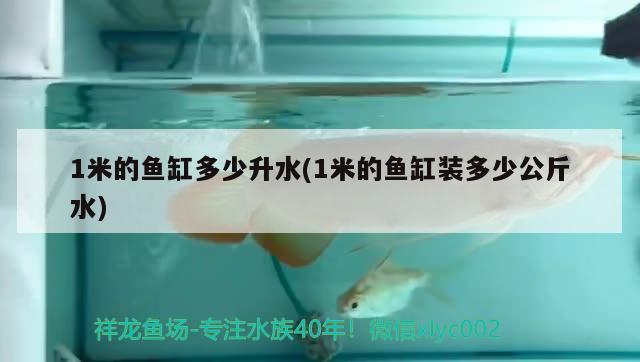 1米的魚缸多少升水(1米的魚缸裝多少公斤水)