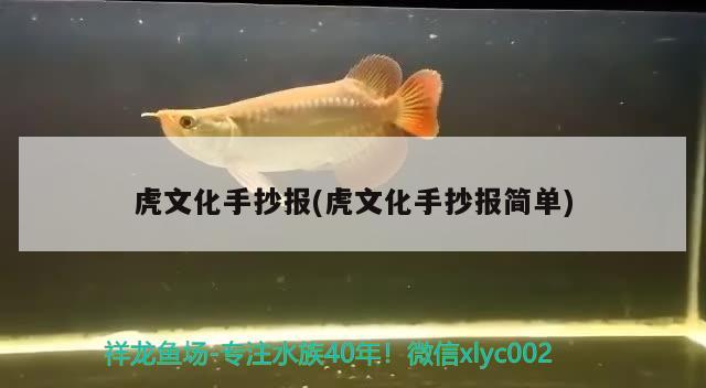 虎文化手抄報(bào)(虎文化手抄報(bào)簡單) 觀賞魚