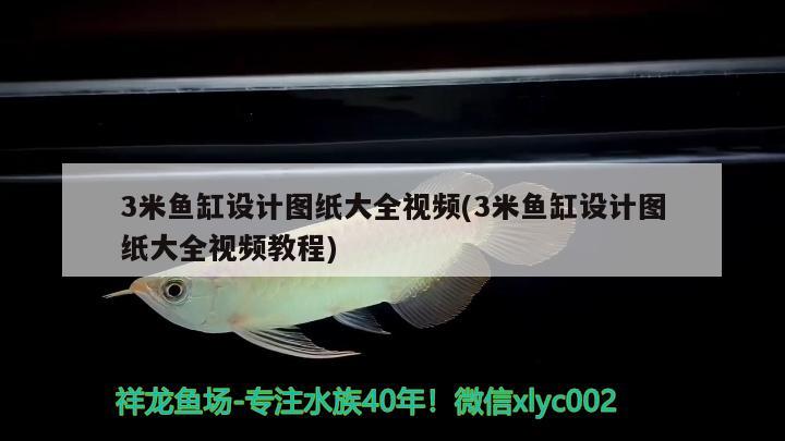 3米魚缸設(shè)計圖紙大全視頻(3米魚缸設(shè)計圖紙大全視頻教程)