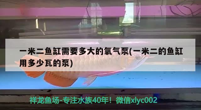 一米二魚(yú)缸需要多大的氧氣泵(一米二的魚(yú)缸用多少瓦的泵)