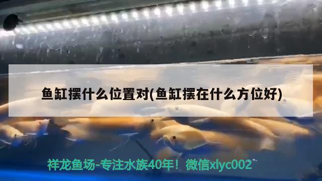 魚缸擺什么位置對(魚缸擺在什么方位好)