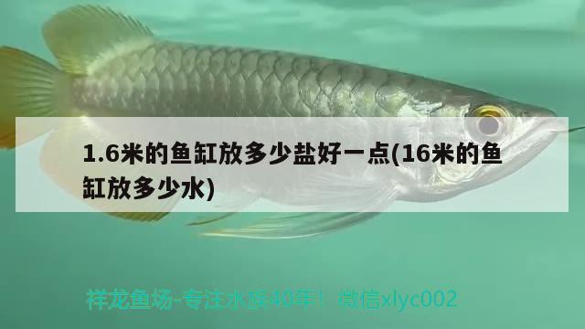 1.6米的魚缸放多少鹽好一點(diǎn)(16米的魚缸放多少水)