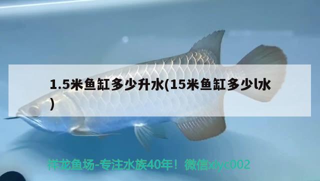 1.5米魚缸多少升水(15米魚缸多少l水) 養(yǎng)魚知識